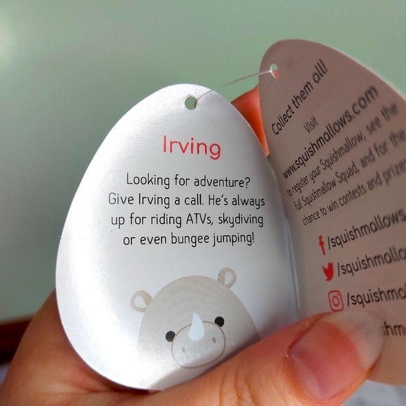 BNWT 5” Irving Squishmallow - Picture 3 of 3